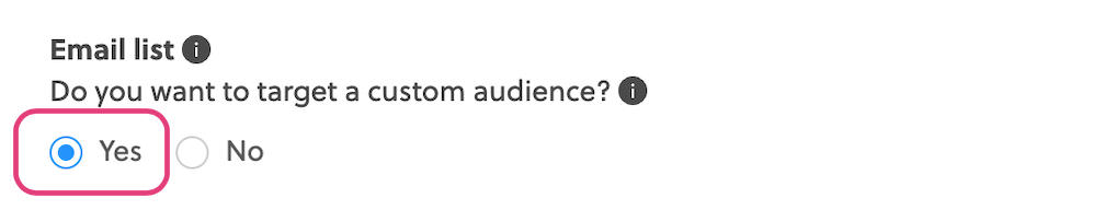 Custom Audience Import